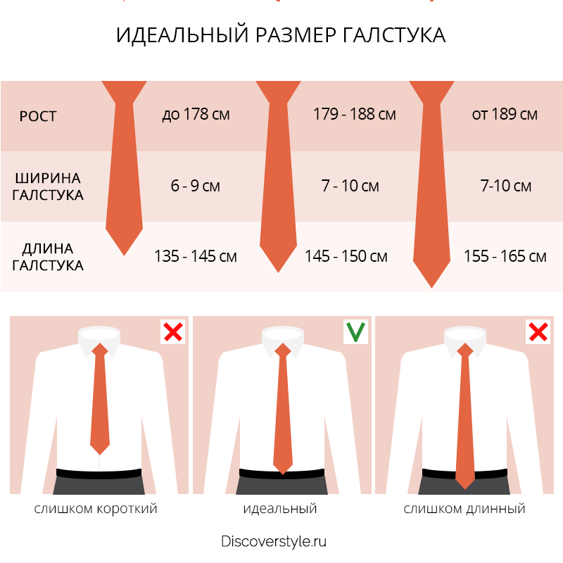 идеальная длина галстука инфографика