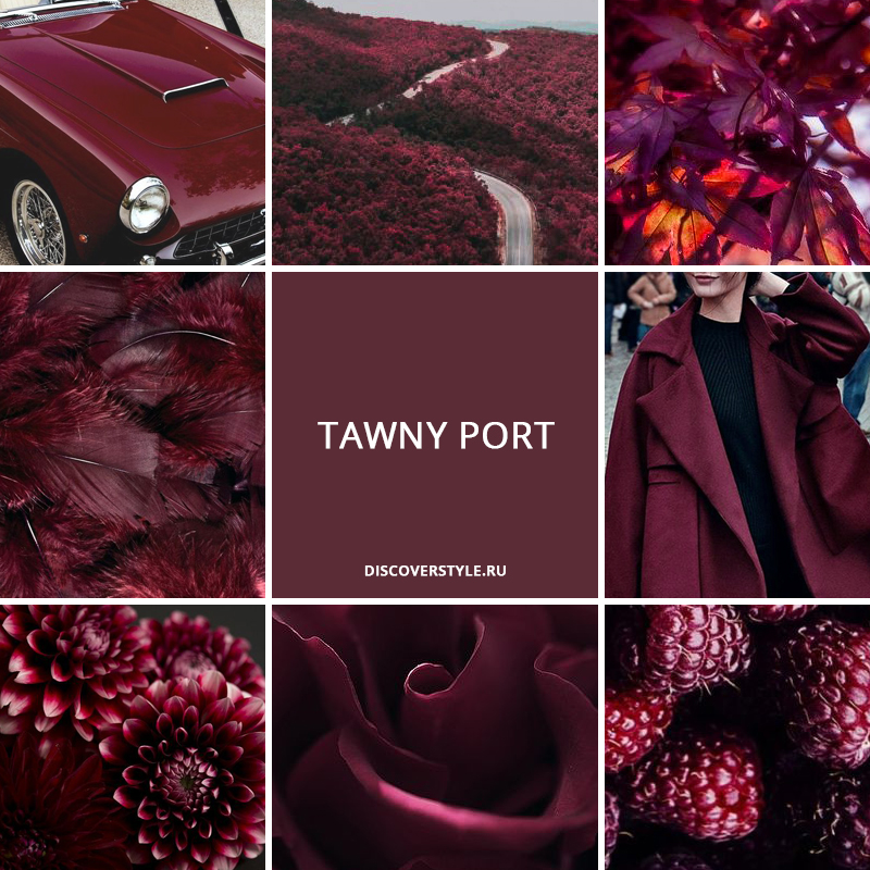 цвет осень зима 2017 pantone бордовый винный Tawny Port