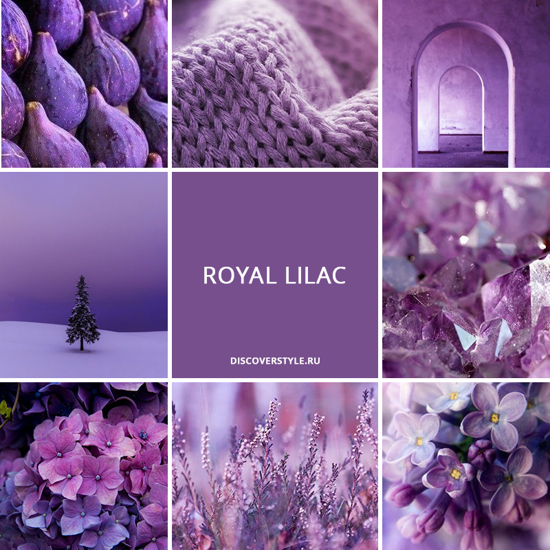 цвет осень зима 2017 pantone сиреневый royal lilac